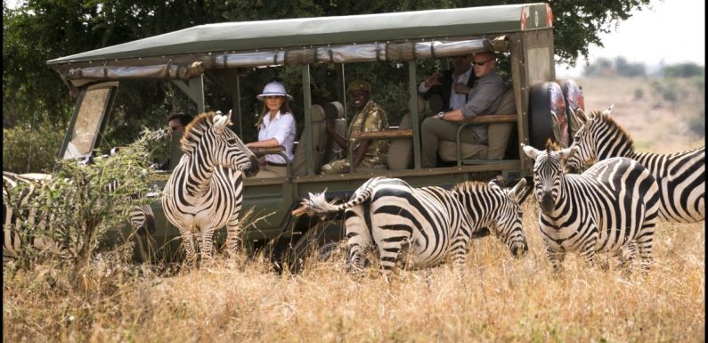 Nairobi Safaris Tour Guide For New Tourists