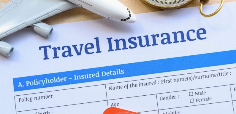 Look for the Best Travel Insurance Quotes from Various Companies - Mack